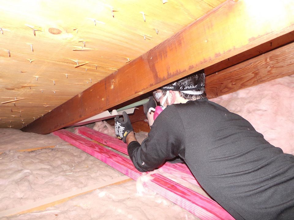 Window Replacement & Attic Insulation Rochester, MI | Pure Energy ...